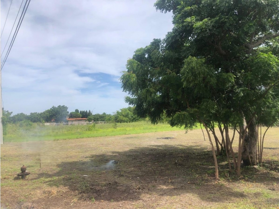 PUNTA CHAME / 1500M / A POCOS METROS DEL MAR / LOTE DE PLAYA AG — foto 5