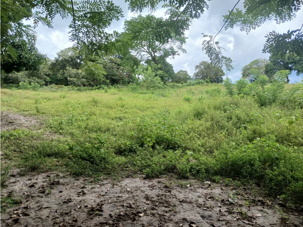 LAS LAJAS / CHAME / TERRENO / 1000 M / AG