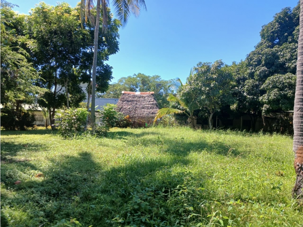 CORONADO / CHAME / 870 M / CERCA DEL MAR / TERRENO PLANO / AG — foto 5