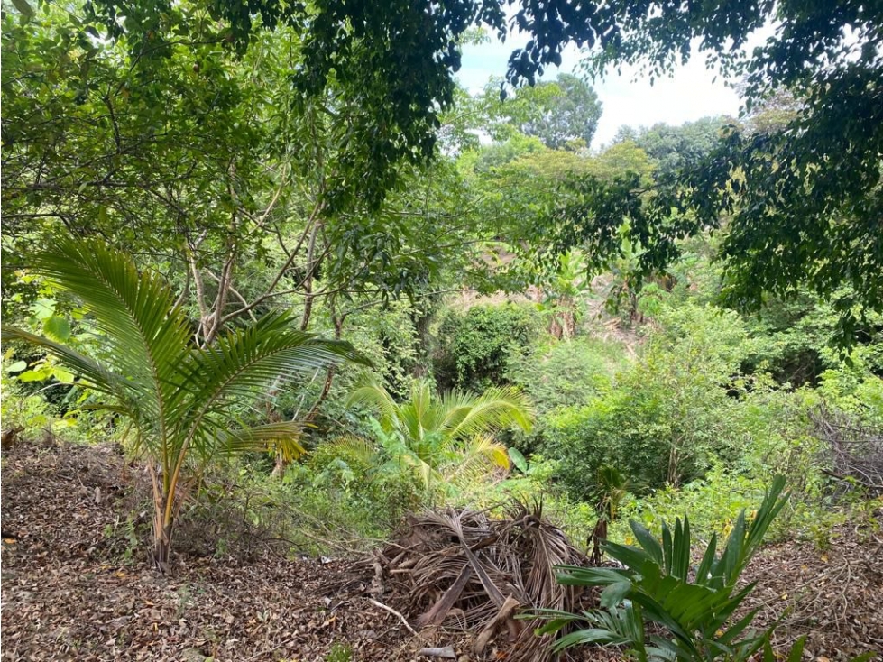 LAS GUIAS / COCLE / 8244 M / CERCA DE PANAMERICANA / PLAYA AG - 5