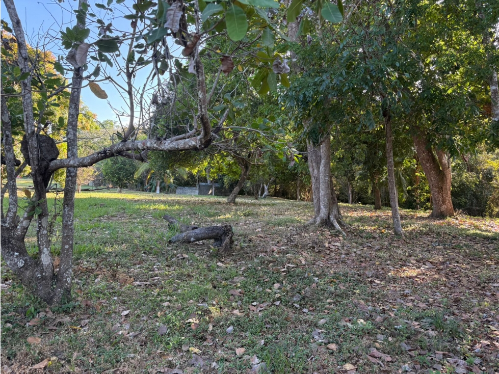 COCLE / SANTA CLARA / TERRENO / 5000 M / SOBRE LA VIA / CERCADO / AG - 4