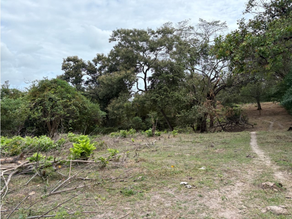 SAN CARLOS / LAS LAGARTIJAS / 250000M / GANADERIA / USO COMERCIAL AG — foto 4