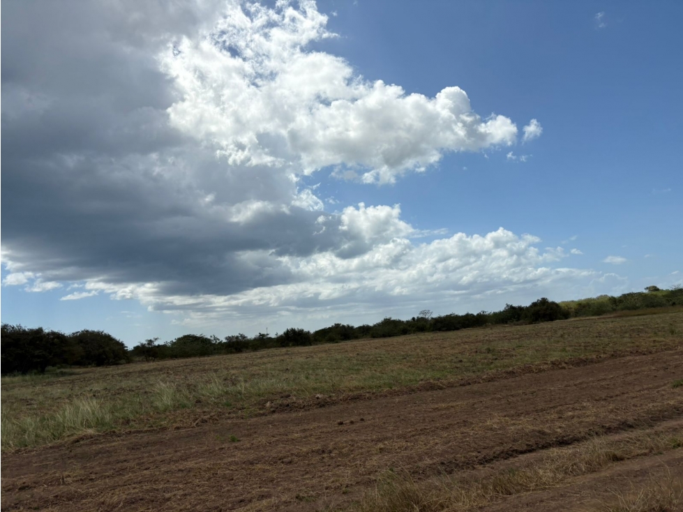 COCLE / RIO HATO / 110 HECTAREAS / SOBRE LA VIA / USO COMERCIAL / AG - 5