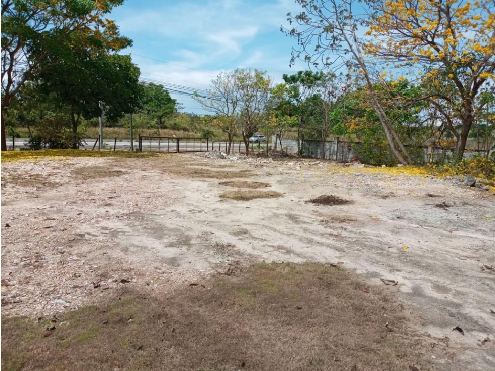 COCLE / SANTA CLARA / 32000M / FRENTE A PANAMERICANA / COMERCIAL / AG - 4