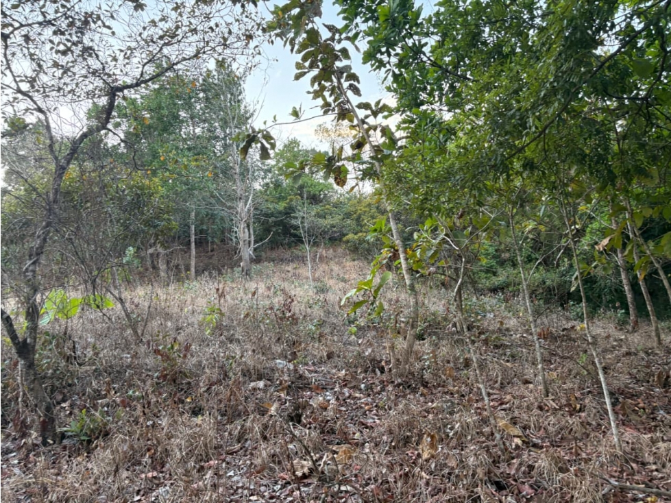SAN CARLOS / LAS PEÑITAS / 1600M / SOBRE LA VIA / RESIDENCIAL / AG — foto 5