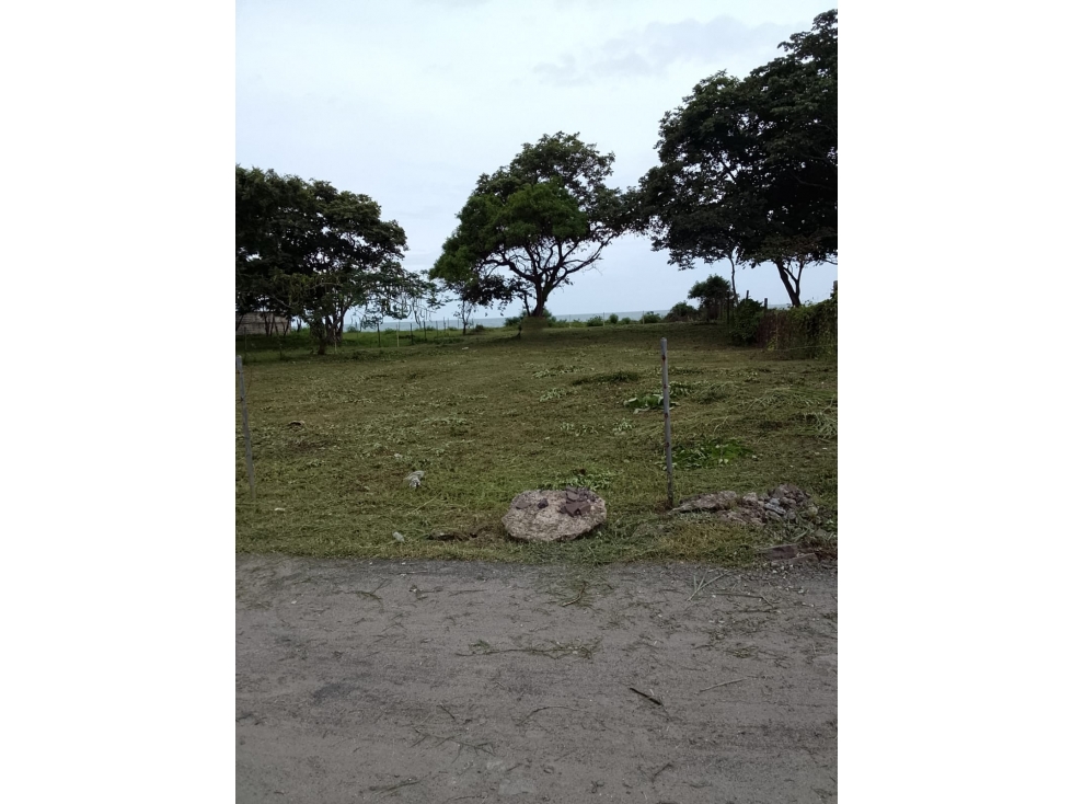 NUEVA GORGONA / MALIBU / 1000M / FRENTE AL MAR / AG — foto 4