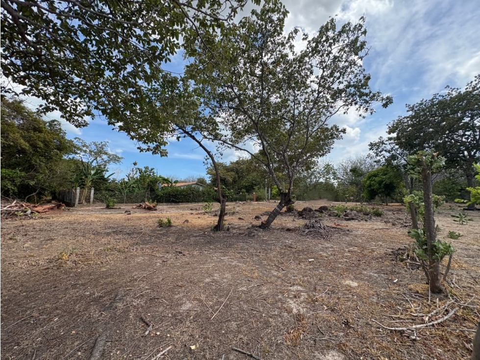 SAN JOSE / 1000M / TERRENO PLANO / SOBRE LA VIA / CERCA DE PLAYA / AG — foto 4