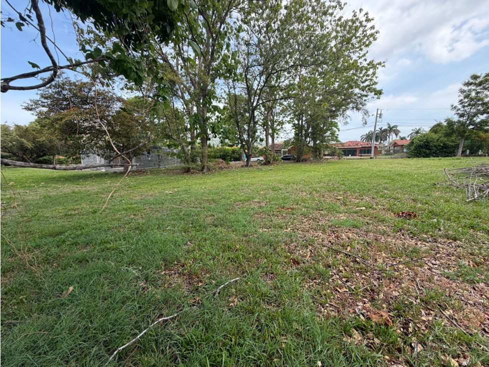 VENDO TERRENO CERCA DE PLAYA EN LA COLONIA DE CHAME 960M — foto 5