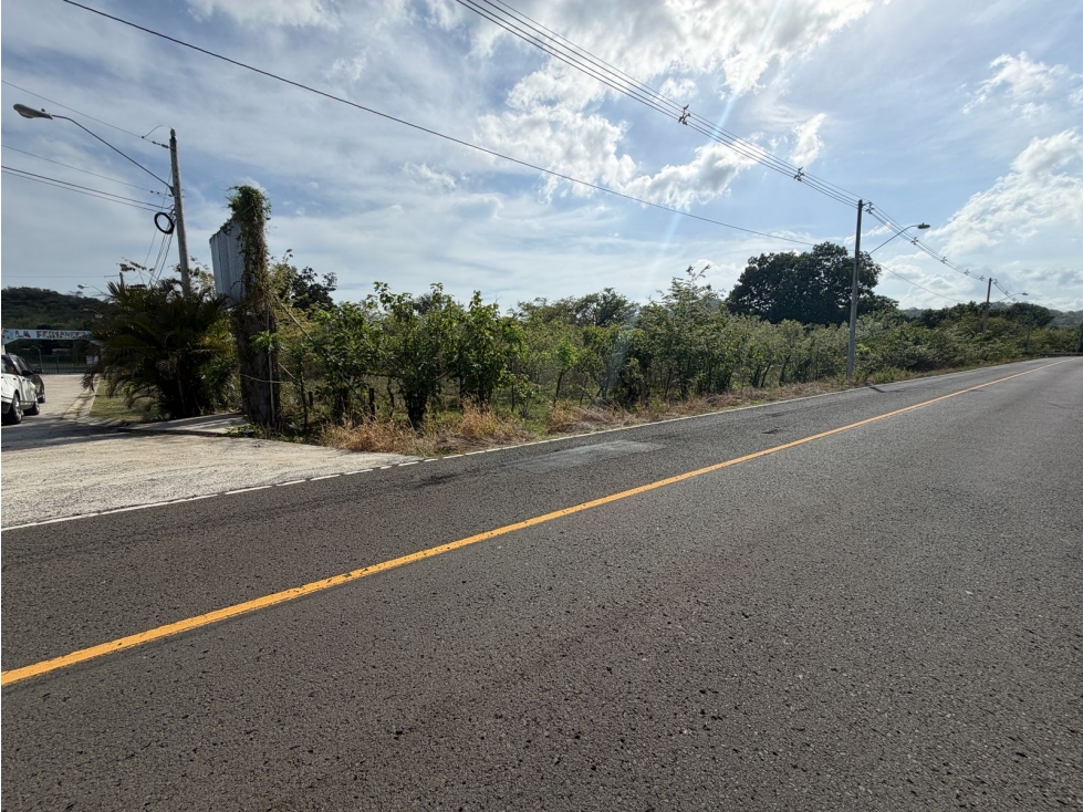 CHAME / FINCA VIA ALTOS DE MARIA / 30 HECTÁREAS / SOBRE VIA ASFALTO — foto 4