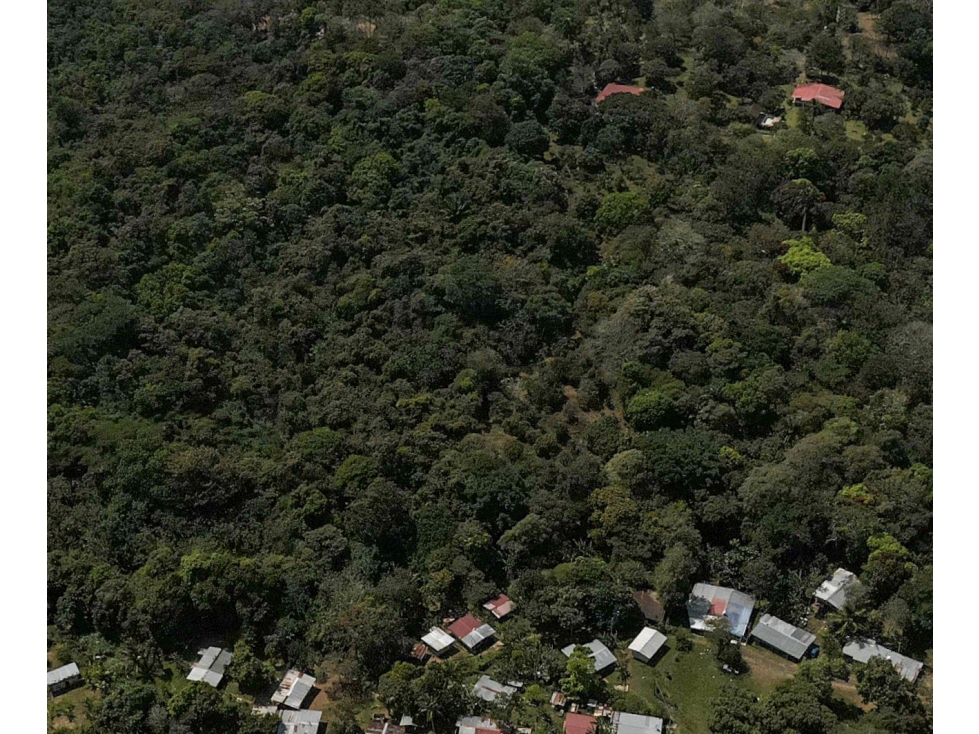 LOTE / CAPIRA / CERMEÑO / 21 HECTAREAS / INVERSION / REMATE — foto 4