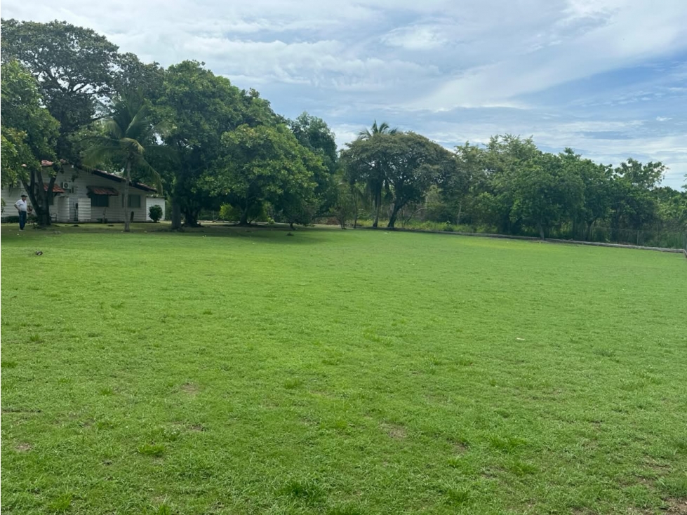 TERRENO / CHAME / 2500 M2 / CORONADO / DOS FINCAS — foto 4