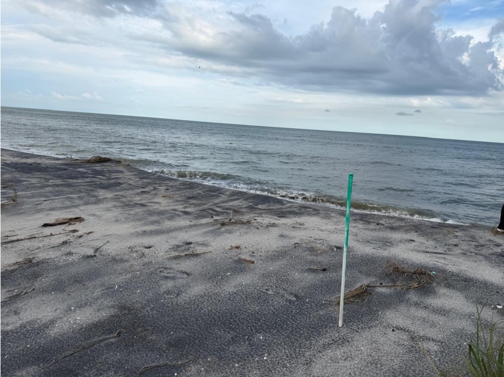 TERRENO / GORGONA / PLAYA MALIBÚ / 1200 M / FRENTE AL MAR — foto 5