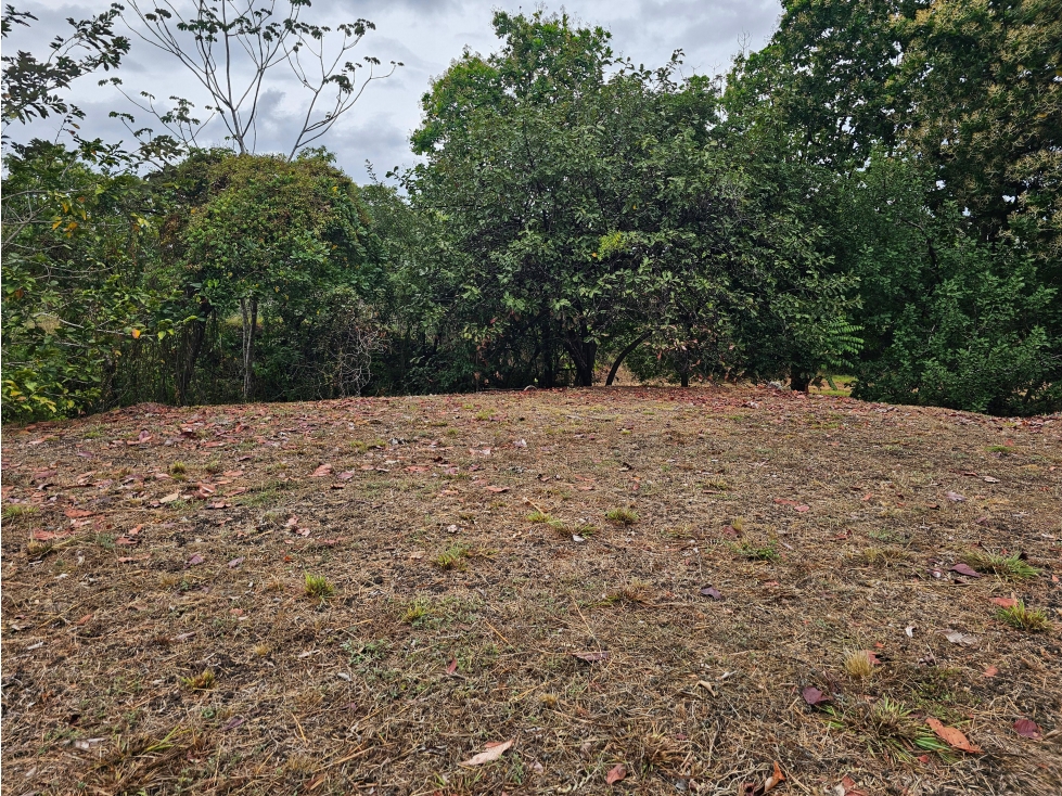 TERRENO / SAN CARLOS / SAN JOSE / 771 M2 / ARBOLES FRUTALES / BOHIO