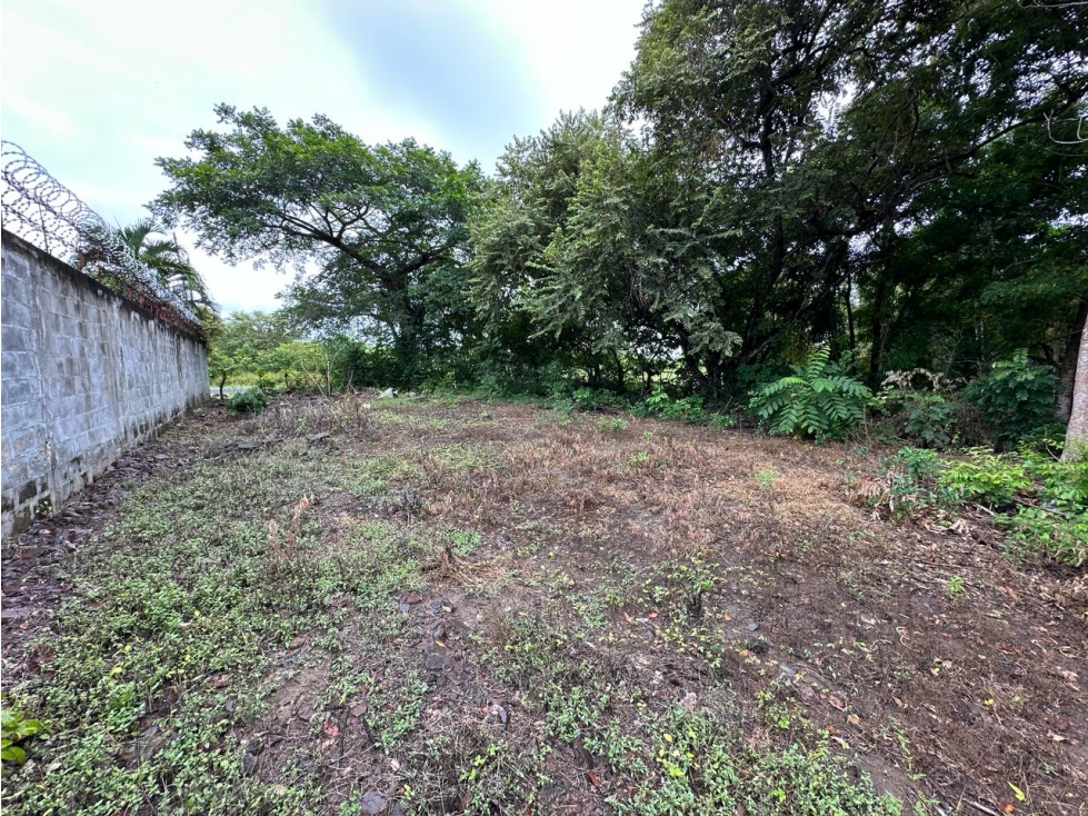 TERRENO / CHAME / CORONADO / 995 M2 / PLANO / CERCA DE PLAYAS