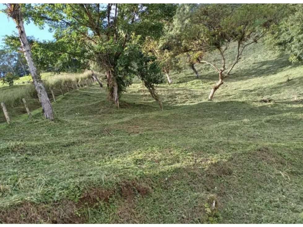 TERRENO / ALTOS DEL MARIA / SANTIAGO APOSTOL / 2621 M2 / AMPLIO