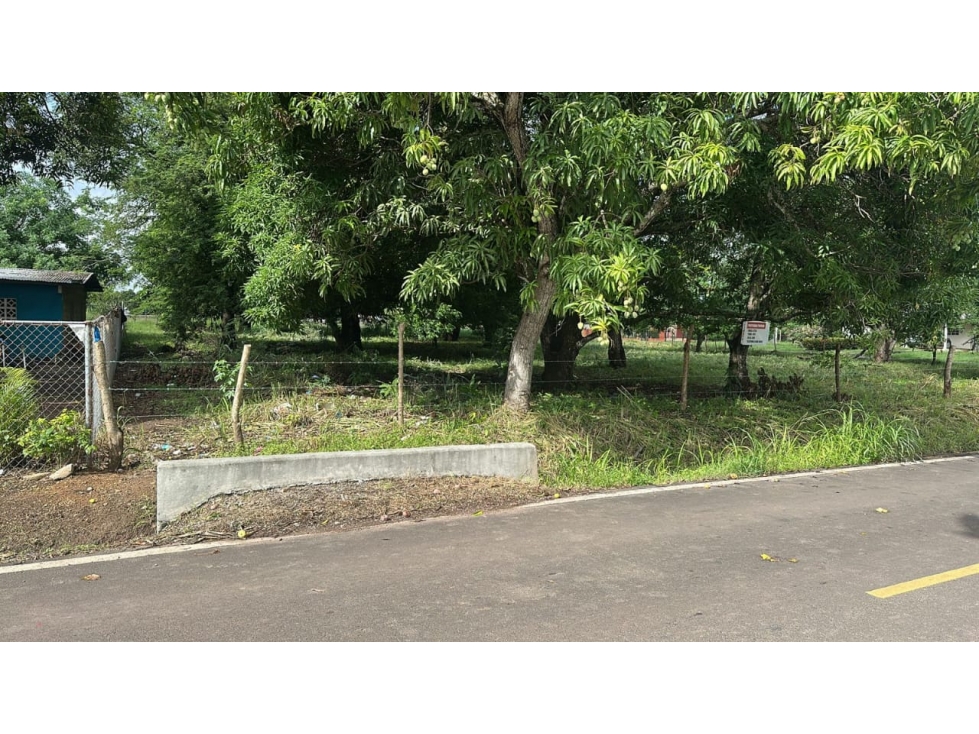 TERRENO / COCLE / AGUADULCE / 2400 M2 / PLANO / VIA ASFALTADA - 4