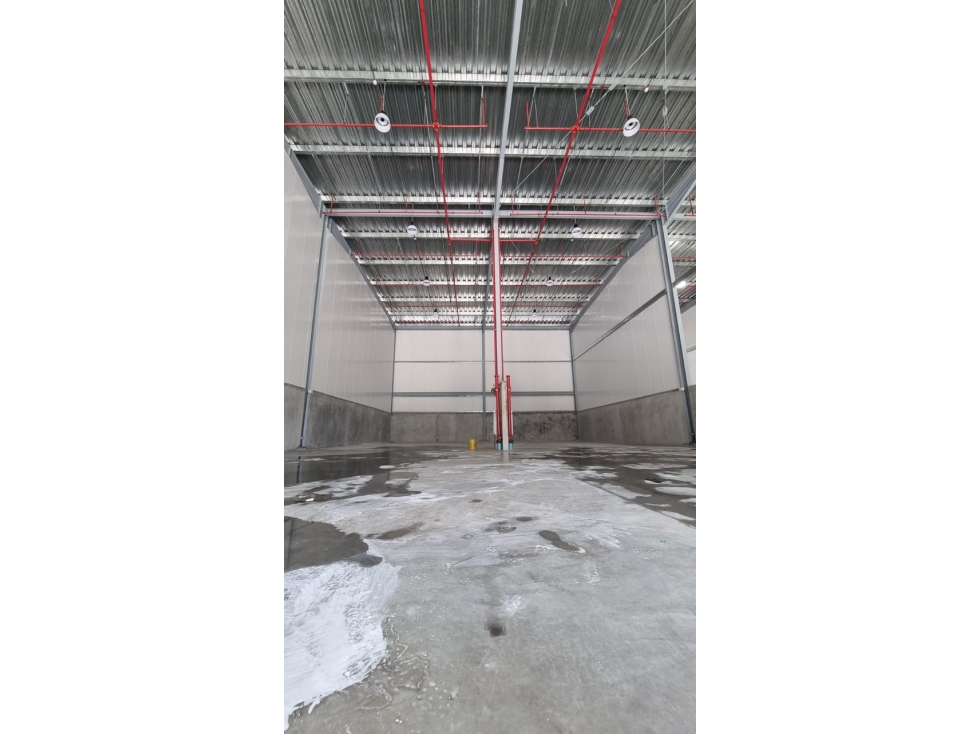 SE ALQUILA GALERA COMERCIAL JUAN DIAZ LEMAX 212M PLANTA BAJA NUEVO - 5