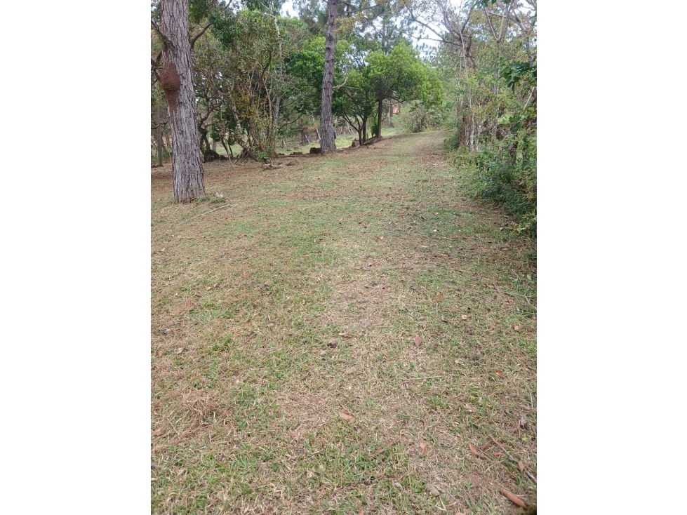 TERRENO / CHAME / CHICA / 2165 M2 / VIA ASFALTADA / CLIMAS FRESCOS — foto 4