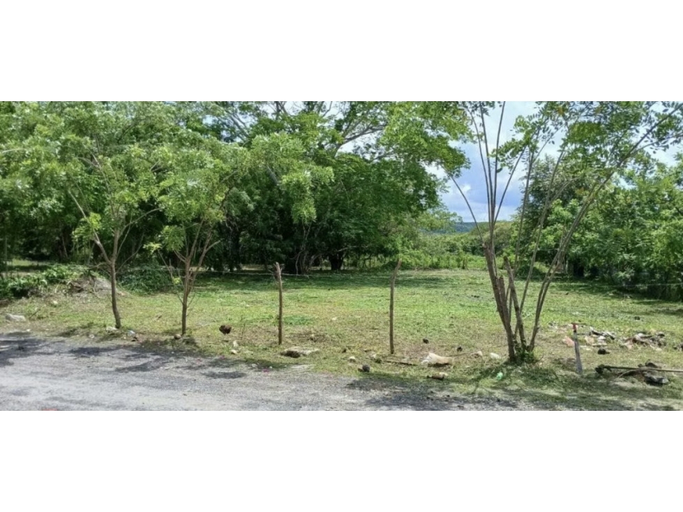 SE VENDE TERRENO PLANO EN PLAYA MALIBU 1000 M2 CERCA DE LA PLAYA — foto 5