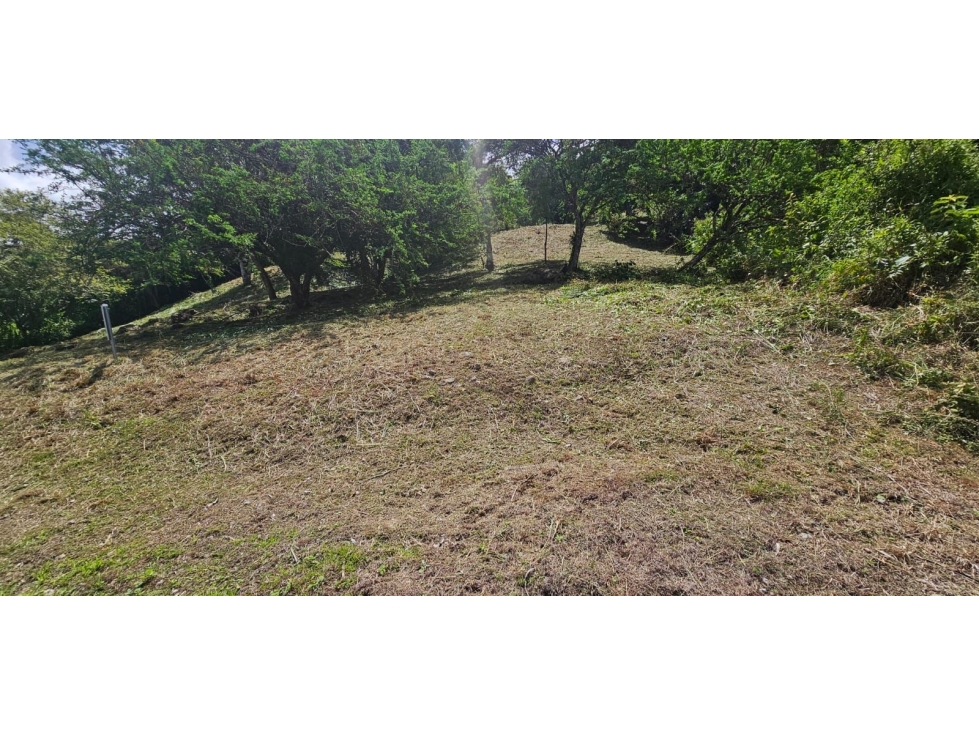 CHAME / ALTOS DE MARIA / 3005 M2 / ARBOLES FRUTALES / CLIMA FRESCO