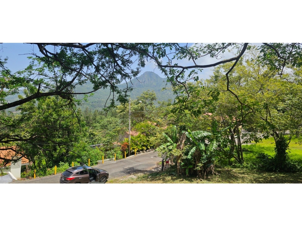 CHAME / ALTOS DE MARIA / 1900 M2 / ARBOLES FRUTALES / ZONAS VERDES — foto 4