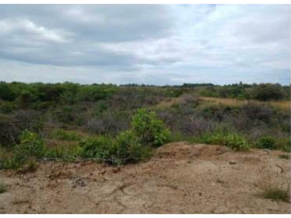 CHAME / LAS LAJAS / 3.03 HECTAREAS / TERRENO / ZONAS VERDES / RIO — foto 5