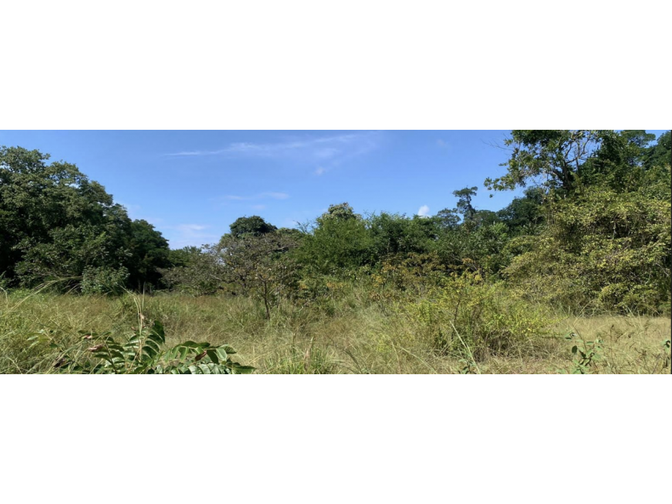 COCLE / ANTON / 132 HECTAREA / TERRENO / ZONAS VERDES / FRENTE AL MAR - 5