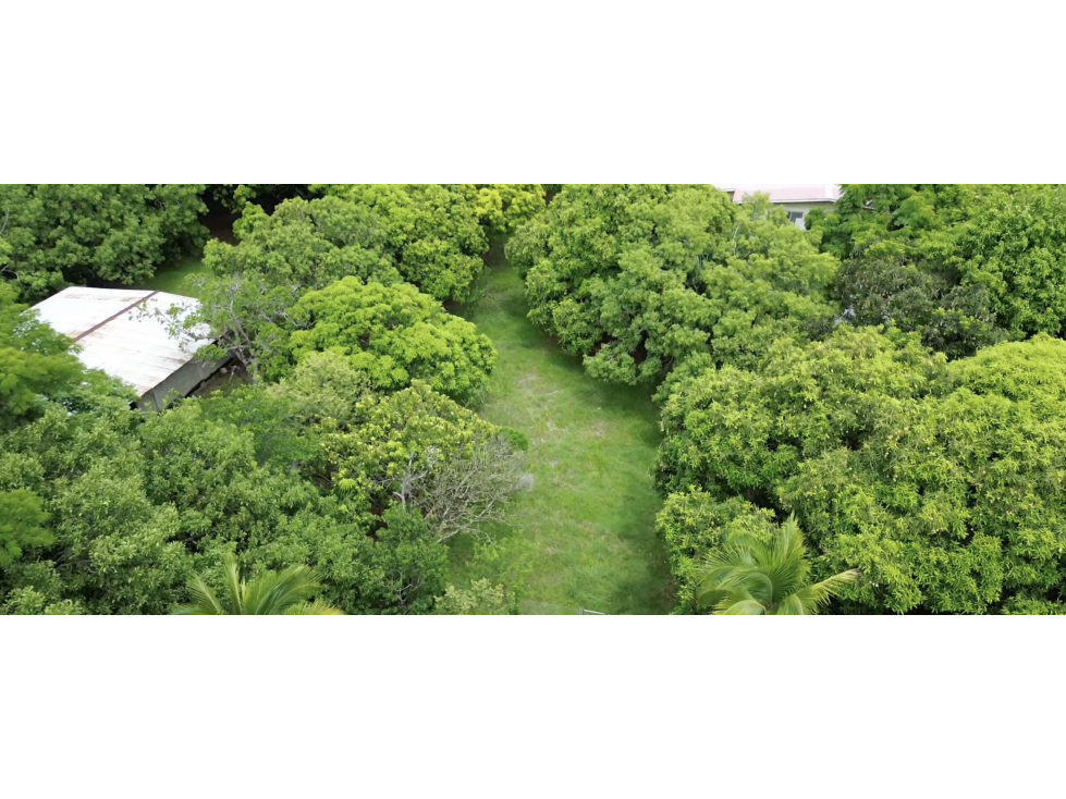 SE VENDE TERRENO 7.9 HECTAREAS EN PENONOME MIRAFLORES CON CASA - 1