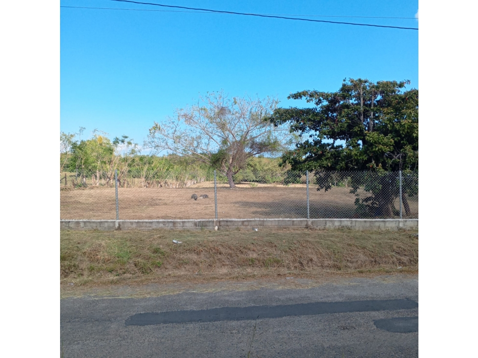 SE VENDE TERRENO PLANO 6833M EN SAN CARLOS EL HIGO CON ZONAS VERDES