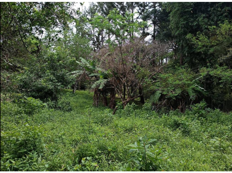 CHAME / SORA / 1595M / TERRENO SEMI-PLANO / SOBRE VIA ASFALTADA — foto 4