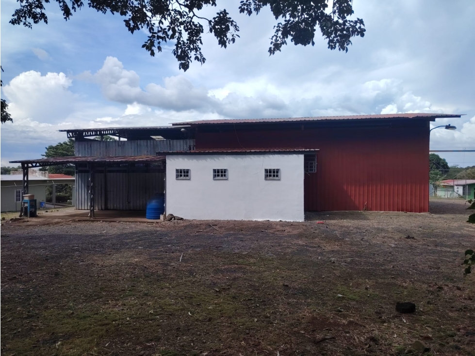 CHORRERA / LA MITRA / 334 M2 / GALERA / 5 ESPACIOS / 10 PARKINGS - 4