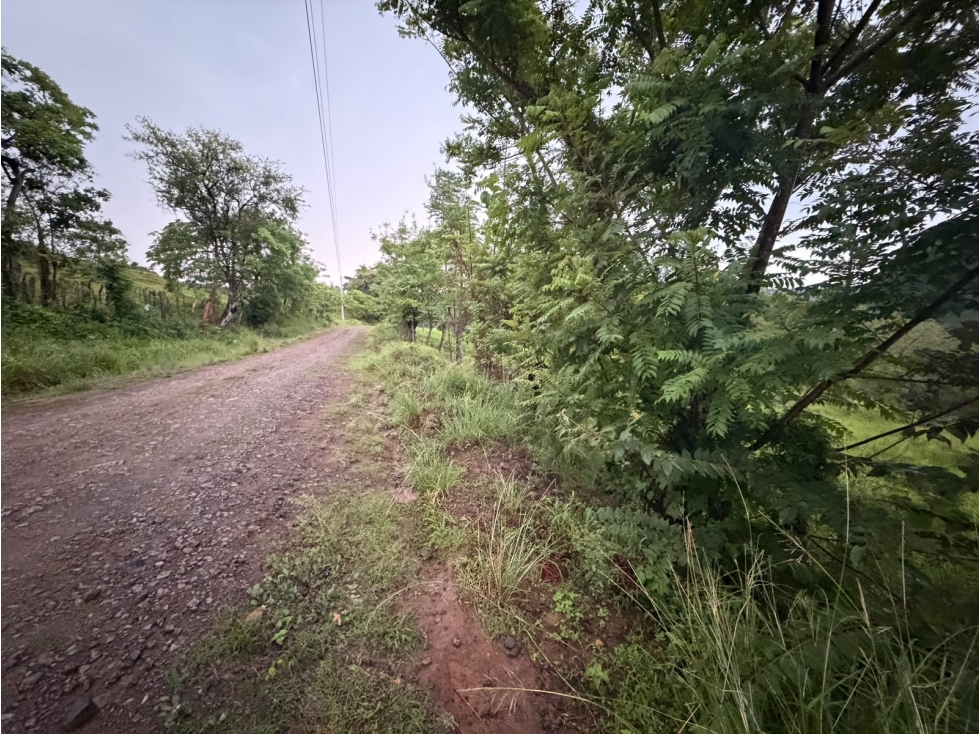 SE VENDE TERRENO LOS CAJONES DE CHAME 20k M SOBRE VIA ASFALTADA — foto 6