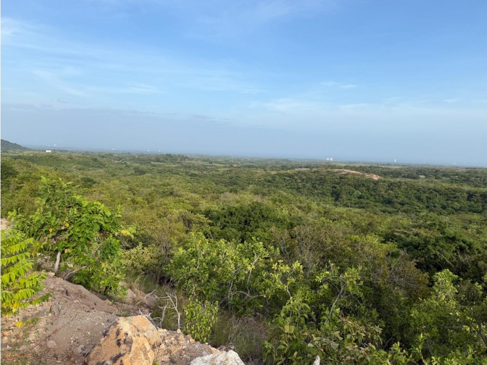 FINCA / SAN CARLOS / 5,000M / ECOLÓGICO Y AUTOSUFICIENTE