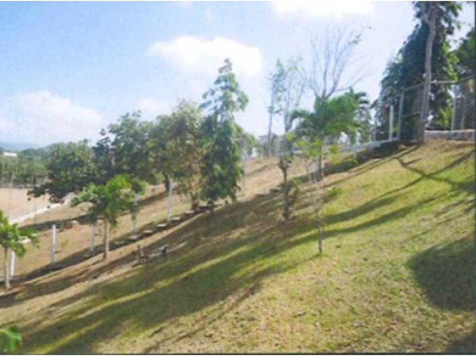 CHEPO / LOMA DEL RIO / 1.6 HECTAREA / CASA / ESTABLO / PISCINA - 5