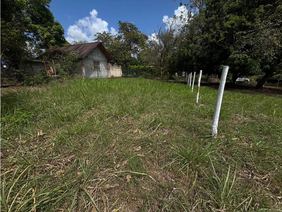 GORGONA / CHAME / TERRENO PLANO / 360M / CERCA DE PLAYA