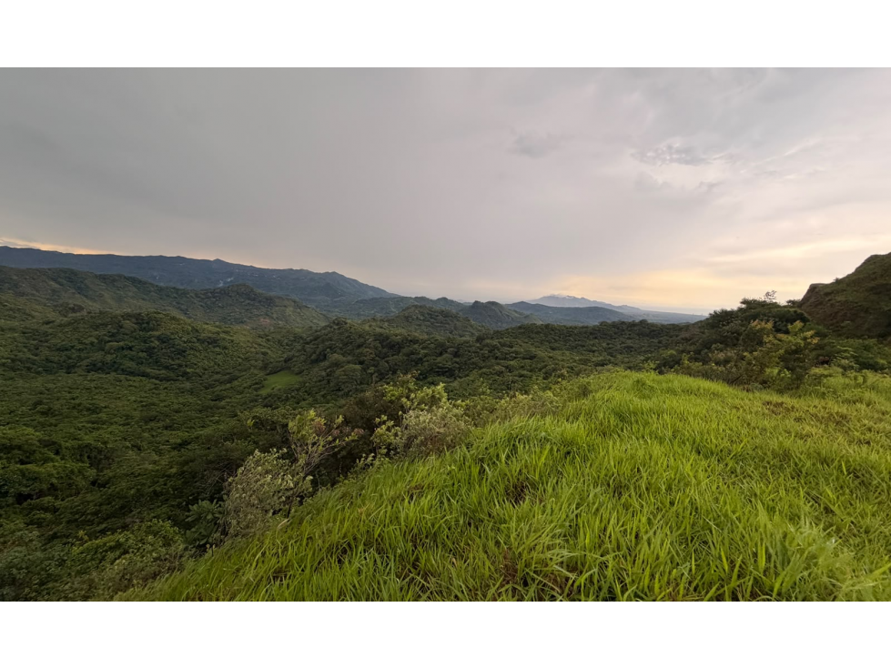 TERRENO / CHAME / SORÁ / 21 HECTAREAS / HERMOSA VISTA AL MAR / AMPLIO