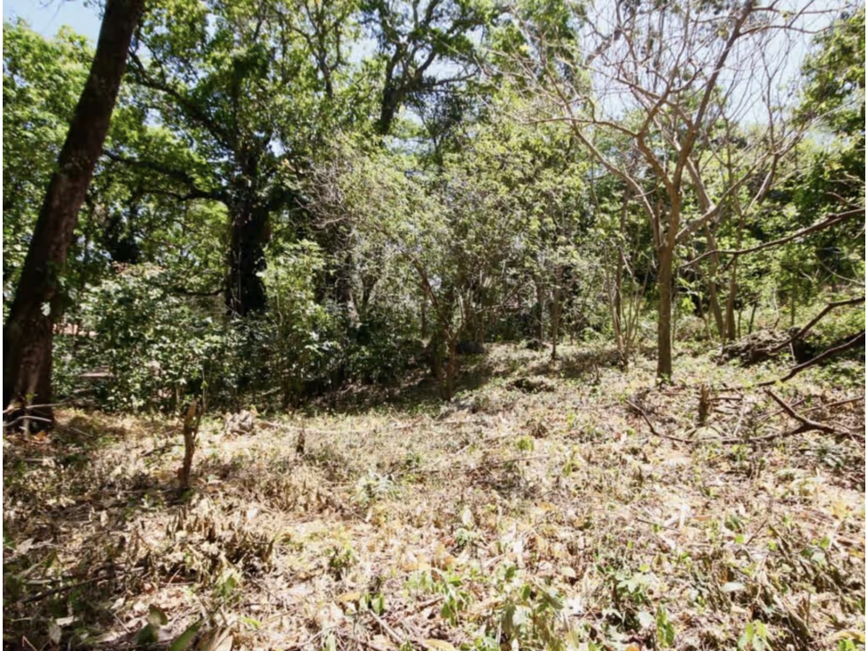 TERRENO / ALTOS DEL MARIA / 2455M / MAYORMENTE PLANO / CLIMA FRESCO — foto 4