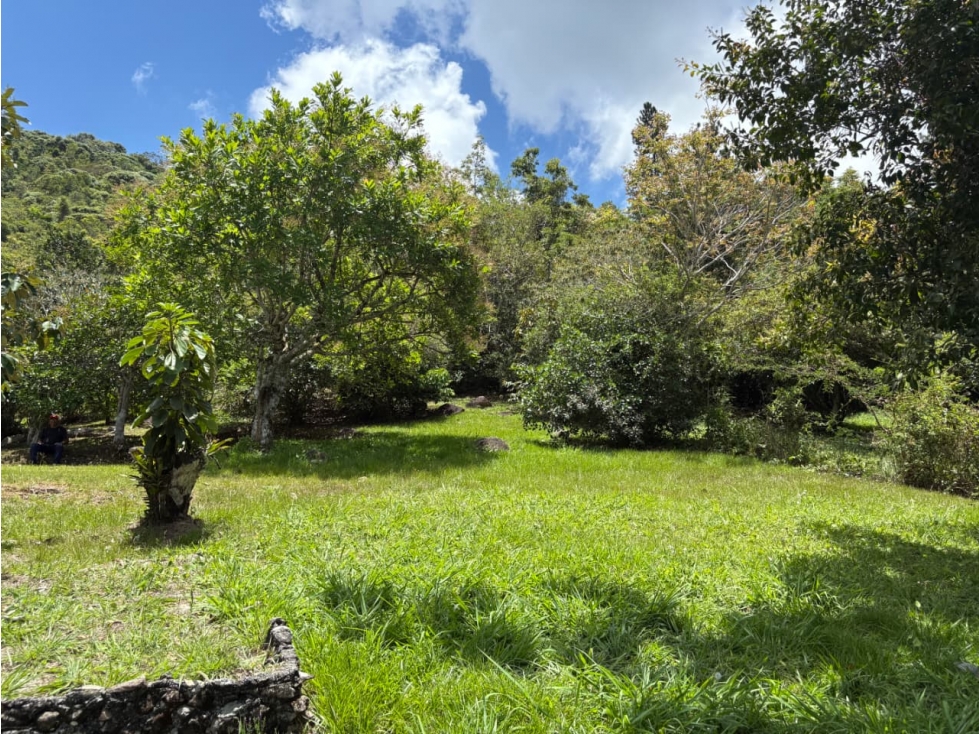 TERRENO DE MONTAÑA VISTA AL MAR y RIO / CAPIRA / CAMPANA / 5467M - 1