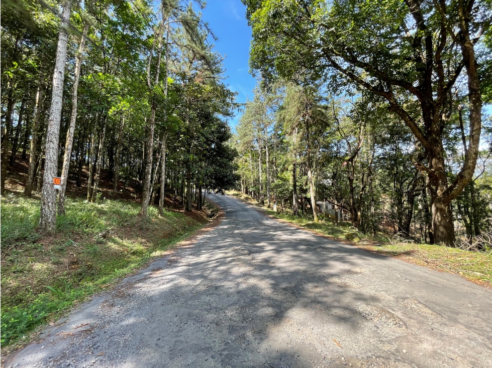 SE VENDE TERRENO EN CERRO AZUL 1301M CON PAISAJISMO Y CLIMA FRIO - 1