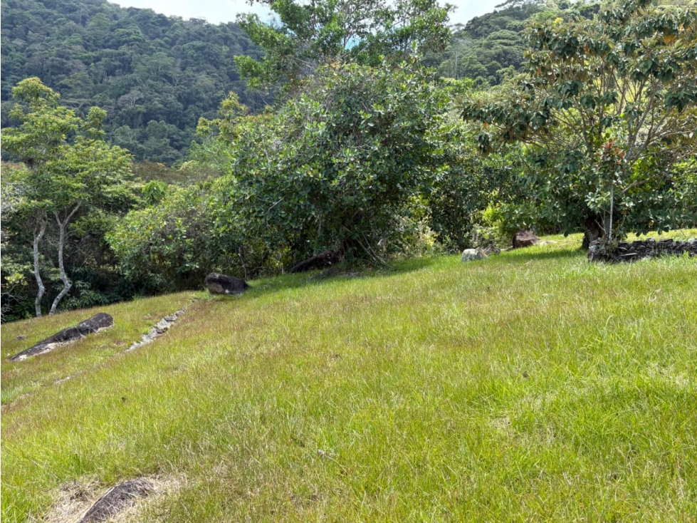 TERRENO DE MONTAÑA VISTA AL MAR y RIO / CAPIRA / CAMPANA / 5467M - 3