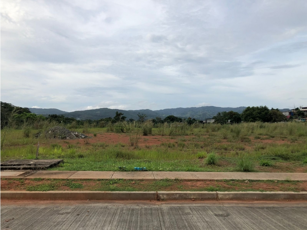 TERRENO EN PARQUE INDUSTRIAL / TOCUMEN / 2,500 M2 - 6