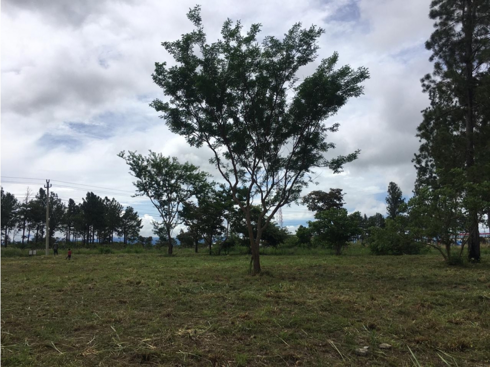 TERRENO COMERCIAL / FRENTE A CARRETERA PRINCIPAL VIA BOQUETE / 1430M - 5