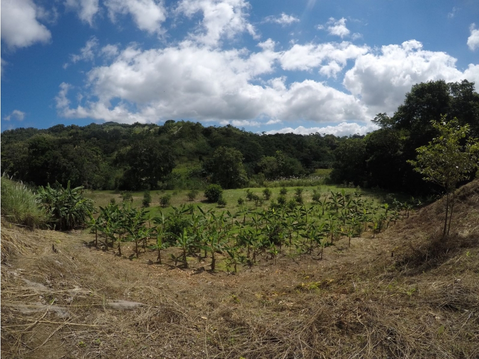 CERRO AZUL / FINCA CON CABAÑA / 52 HECTAREAS / RIO Y CASCADAS - 6