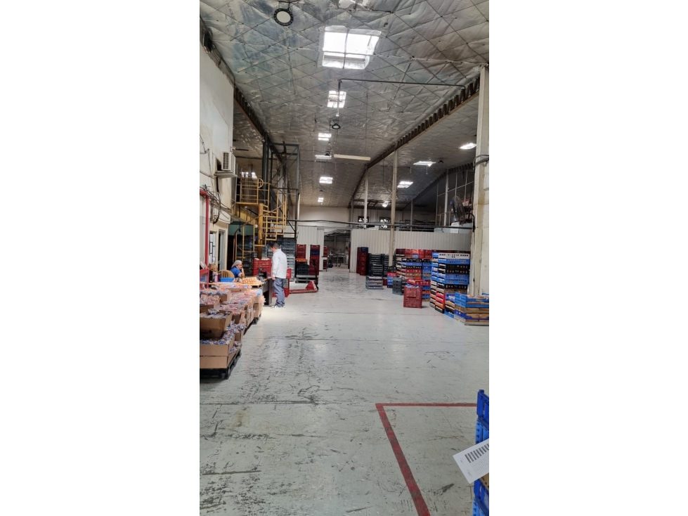 JUAN DIAZ / NEGOCIABLE / GALERA EN URB INDUSTRIAL / 4400 M2 — foto 6