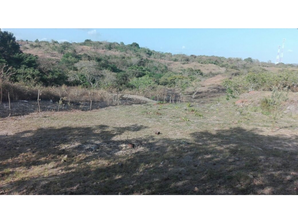 TERRENO / SAN CARLOS / EL NANCE / 7000M2 / ACCESO AL RIO — foto 2