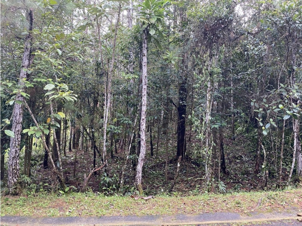 CERRO AZUL / FINCA ALTOS DEL GUARDIAN / 1844 M2 - 5