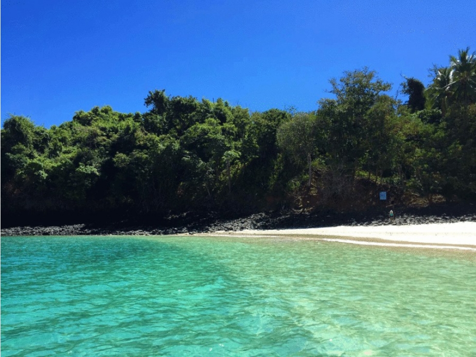 ISLA COMPLETA / GOLFO CHIRIQUI / 8 HECTAREAS + 4000m2 / NEGOCIABLE - 4