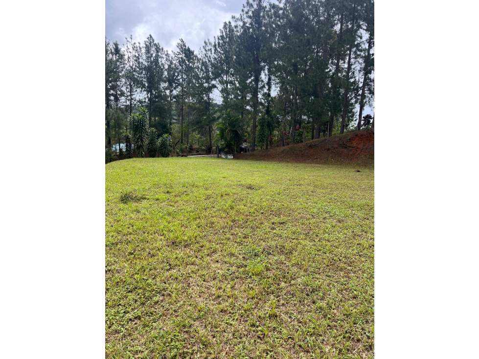 TERRENO / CERRO AZUL / 2679 M2 / CLIMA FRIO / ZONAS VERDES - 5