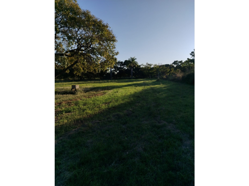 CORONADO / BOULEVARD / FINCA PLANA / 14 HECTÁREAS / 50.00 m2 — foto 4