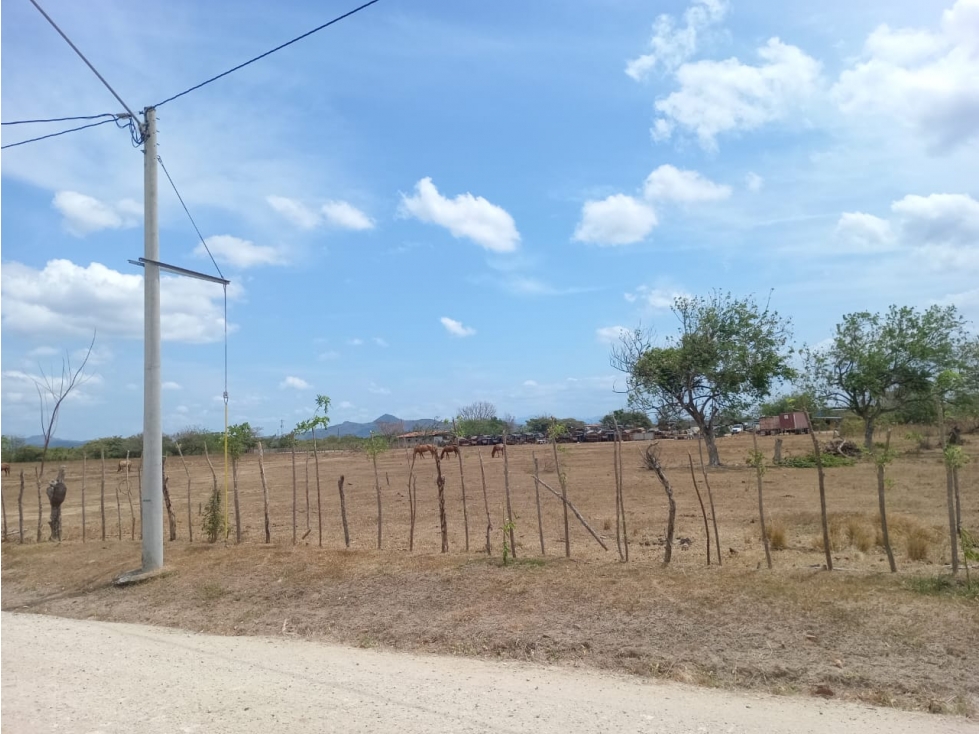 PENONOME / TERRENO / 3.538.81M2 - 5
